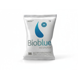 Absorvedor de Óleo Orgânico Granulado 1 kg - Biosolvit (1 Unidade)