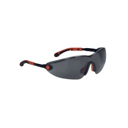Óculos Vulcano2 Smoke Antiembaçante e Antirrisco Cinza VULC2NOFU - Delta Plus | CA - 35267
