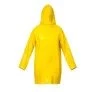 Capas de Chuva sem Forro